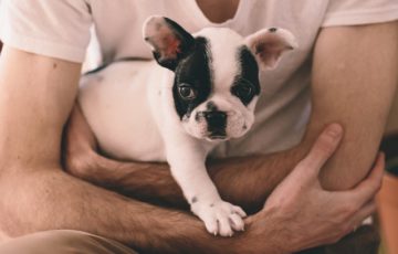 フランス人男性と身長 背が低いフランス人男性は恋愛市場で不利か フランスシャポー